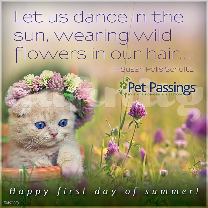 061504 Happy First Day of Summer! Susan Polis Schultz quote Facebook meme.jpg